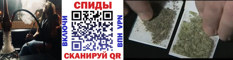 купить наркотики сайты  Пущино  БУТИРАТ оксибутират 
