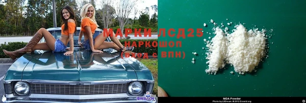 индика Баксан