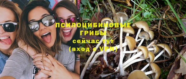 эйфоретик Балахна
