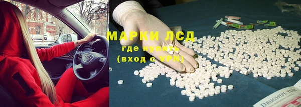 индика Баксан